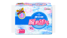 瞬爽透氣直條包20片日夜舒棉組合裝PT04205
